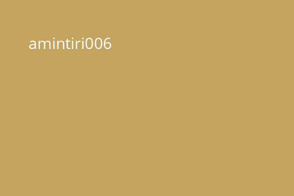 amintiri006