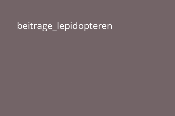 beitrage_lepidopteren