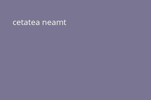 cetatea neamt