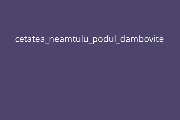 cetatea_neamtulu_podul_dambovite