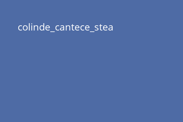 colinde_cantece_stea