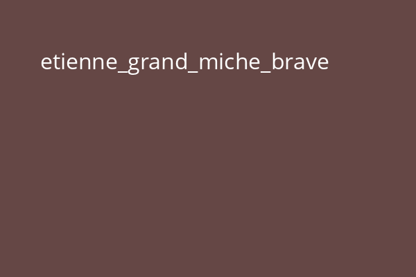 etienne_grand_miche_brave