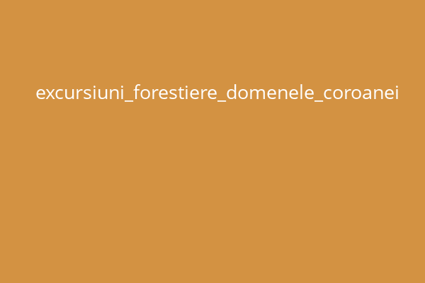 excursiuni_forestiere_domenele_coroanei