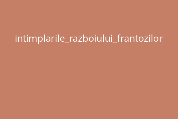 intimplarile_razboiului_frantozilor