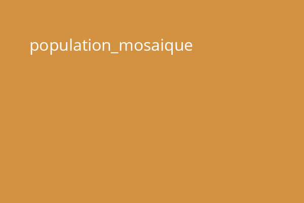 population_mosaique