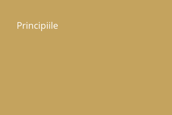 Principiile