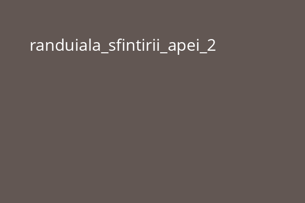 randuiala_sfintirii_apei_2