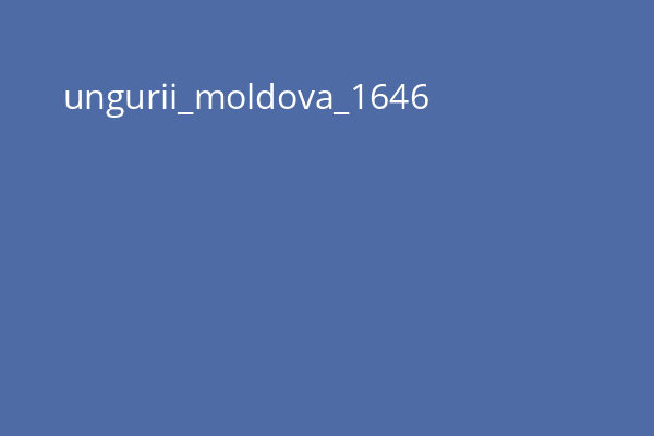 ungurii_moldova_1646